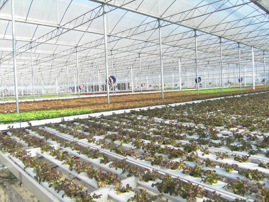 SDC10983.JPG