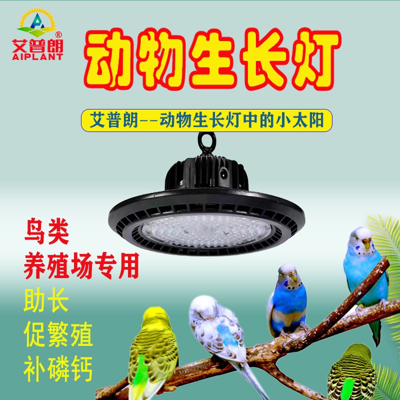 UFO ֳרõ_.jpg