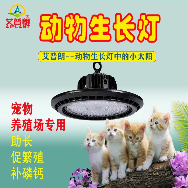 UFO ֳ_.jpg