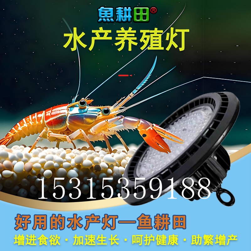  ˮֳ UFO Ϻ(绰).jpg