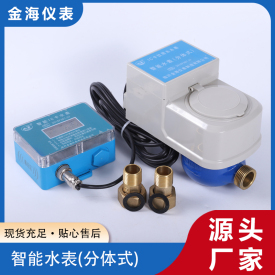 智能水表(分體式)
