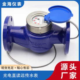 光電直讀遠(yuǎn)傳水表