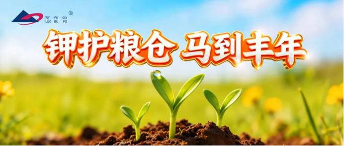 抢前抓早守农时，市场布局显担当｜国投罗钾奏响春耕保供“序曲”