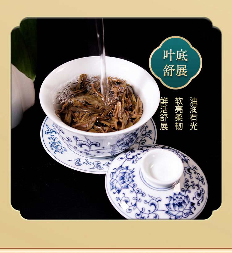 �s�Rζ2021 �ն��� ���� 357g/�