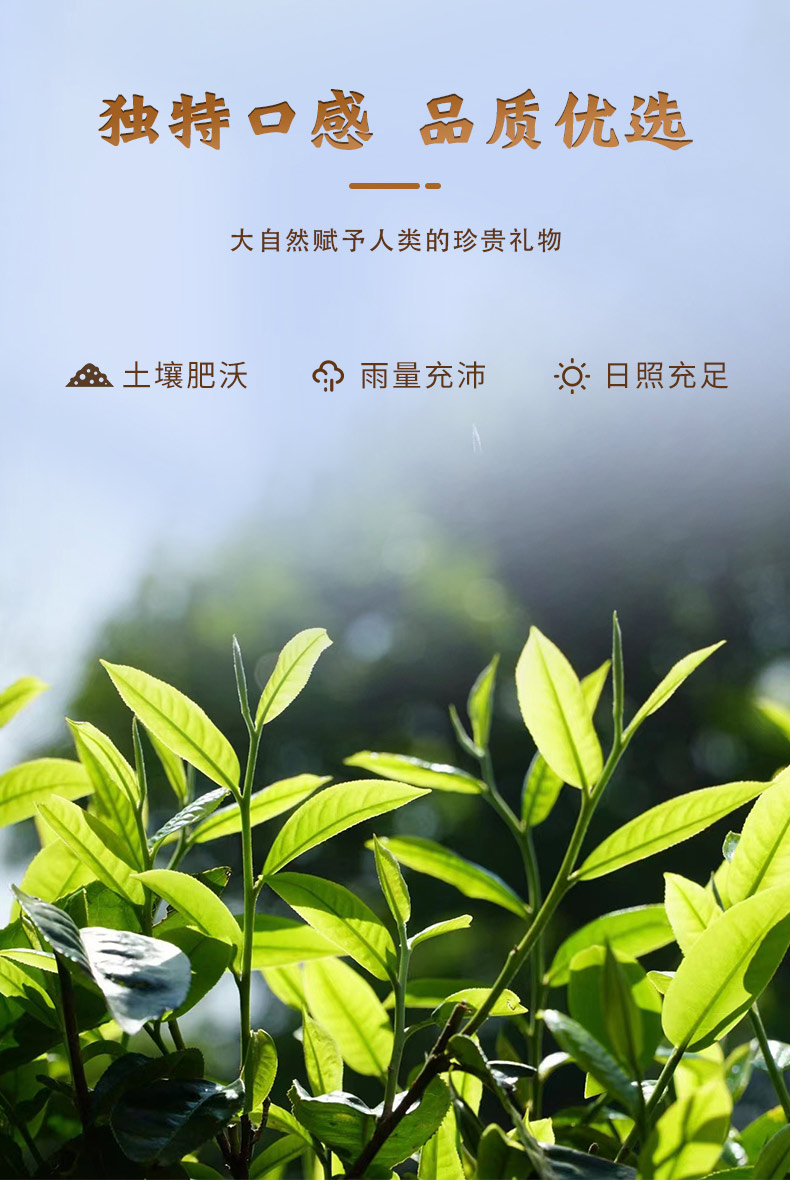 �s�Rζ2022 �ն��� ���� 357g/�
