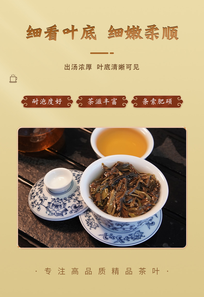 �s�Rζ2022 �ն��� ���� 357g/�