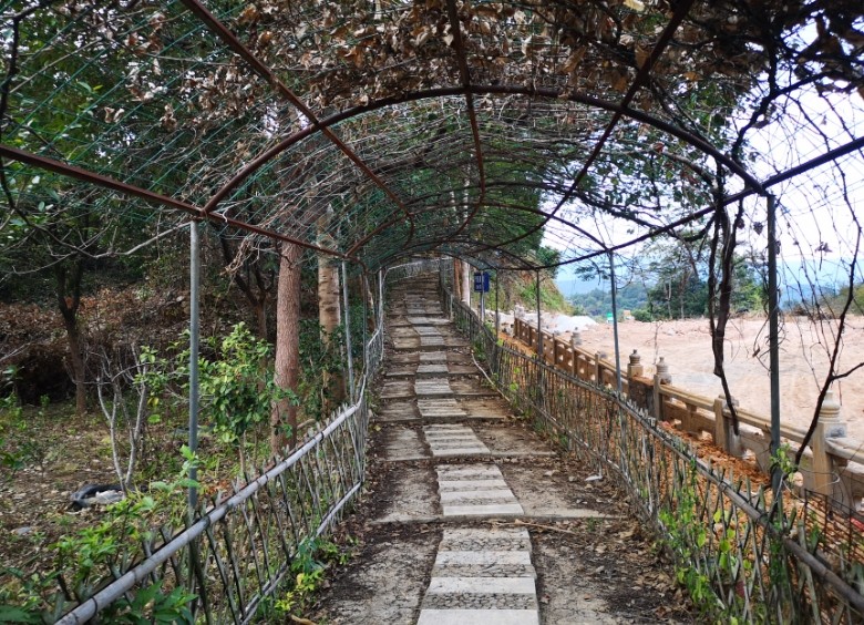 1667275382968713.jpg 1667275382968713.jpg