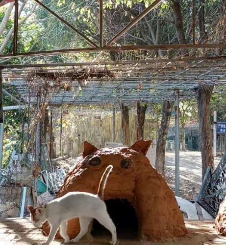 1667275423826201.jpg 1667275423826201.jpg