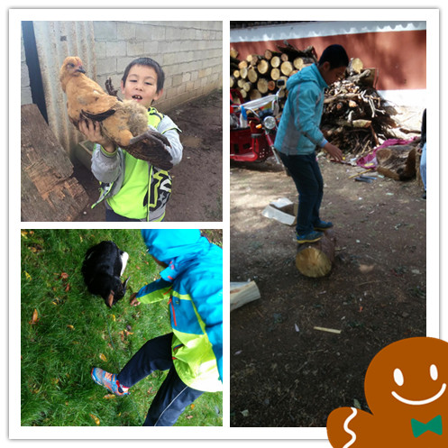 1667276102634235.jpg 2015121412162939.jpg