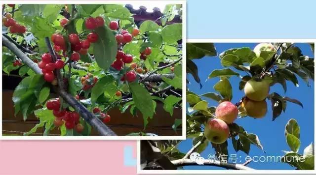 1667387365423996.jpg 640.jpg