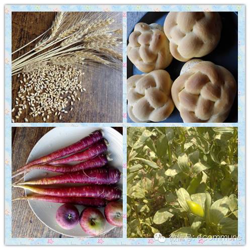 1667387408128032.jpg 640 (2).jpg