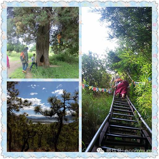 1667387518452706.jpg 640 (5).jpg