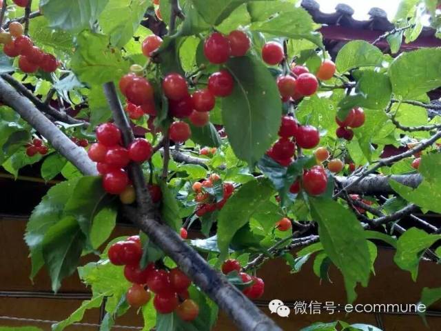 1667389096754464.jpg 640.jpg