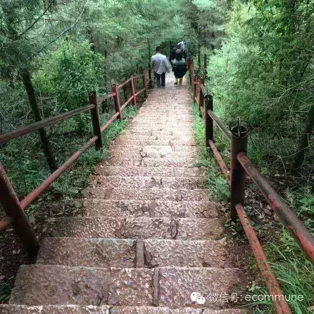 1667390298668449.jpg 640 (3).jpg