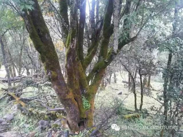 1667390311591958.jpg 640 (5).jpg