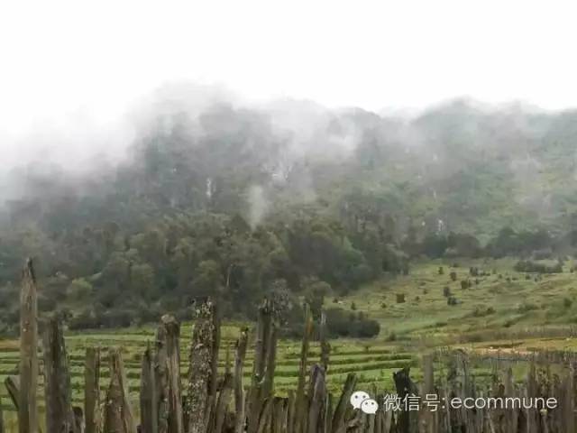 1667390328210907.jpg 640 (4).jpg