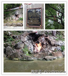 1667487214157335.jpg 5.jpg