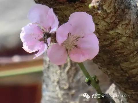 1667487433691107.jpg 微信图片_20221103225827.jpg