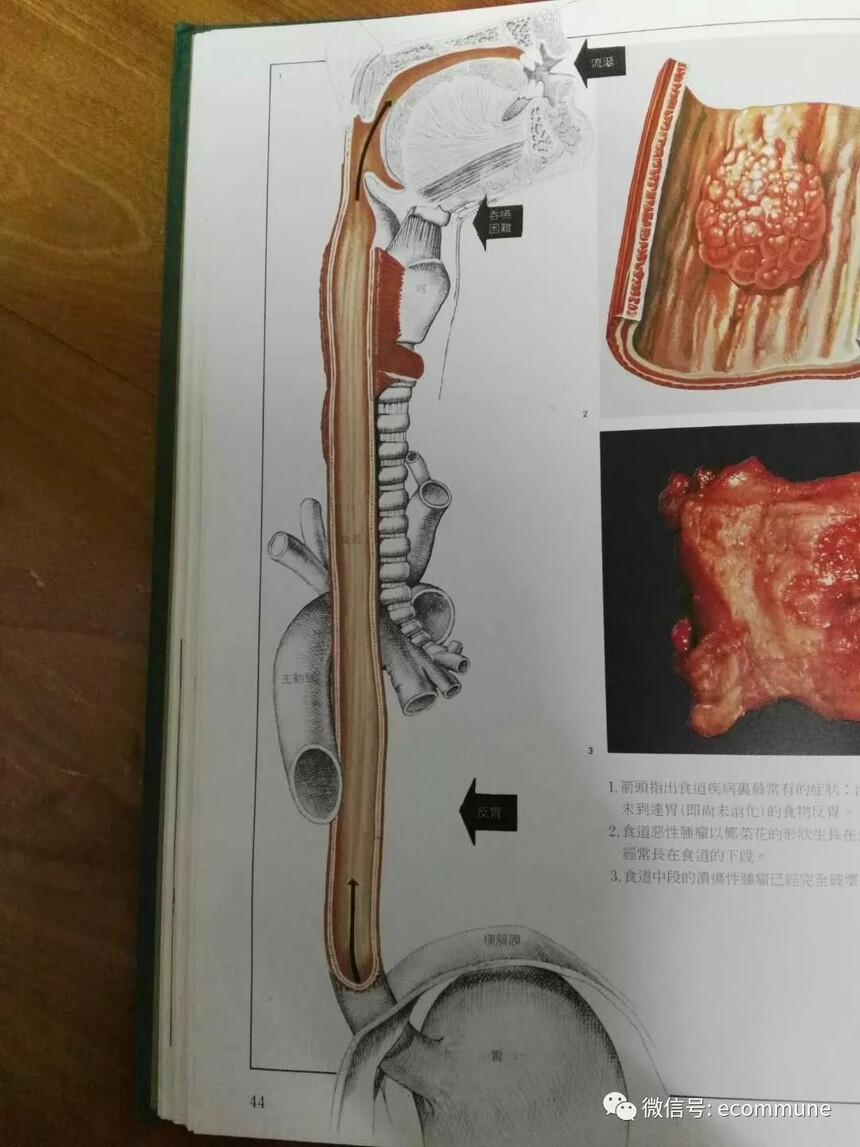 1667569091226953.jpg 1667569091226953.jpg