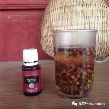 1667570412608286.jpg 640.jpg