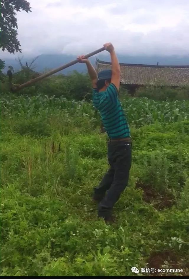 1667570611269321.jpg 640 (5).jpg