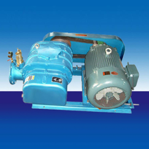 SR100羅茨鼓風機1
