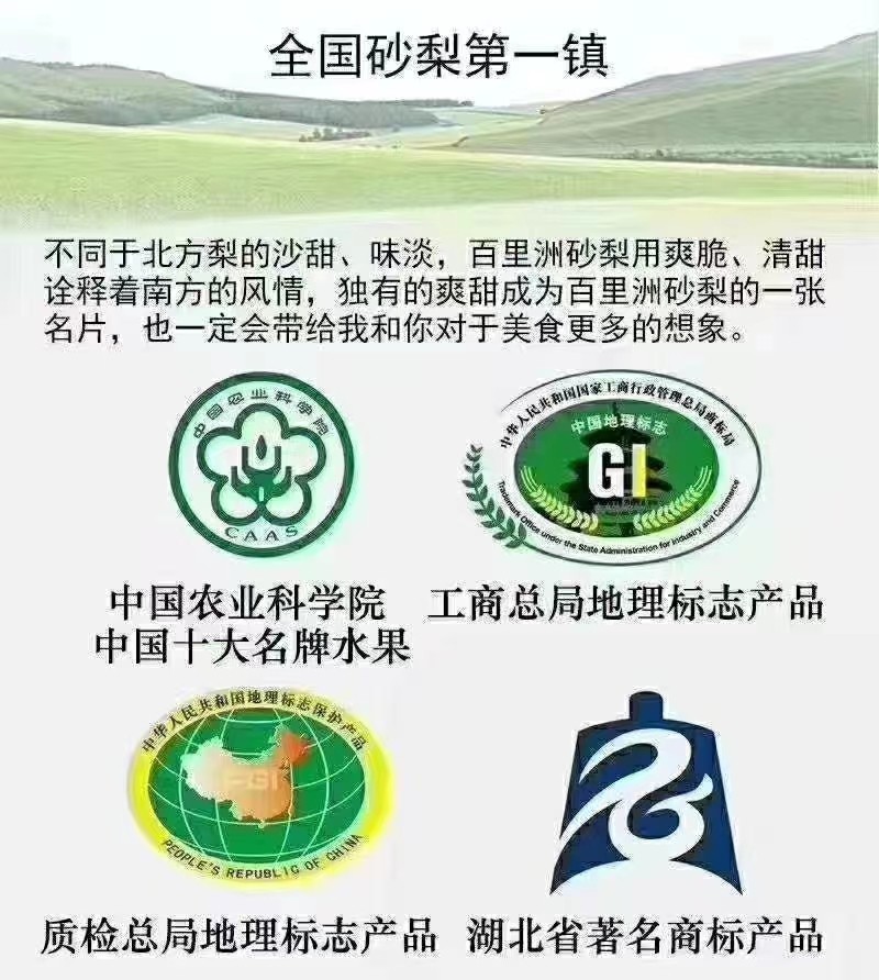 微信图片_20240721172343.jpg