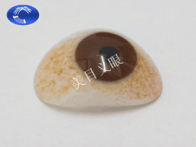 ۶