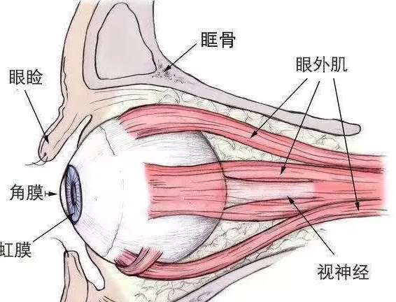 ۶