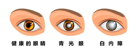 1667959857169037.png