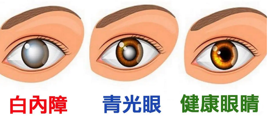 01.png