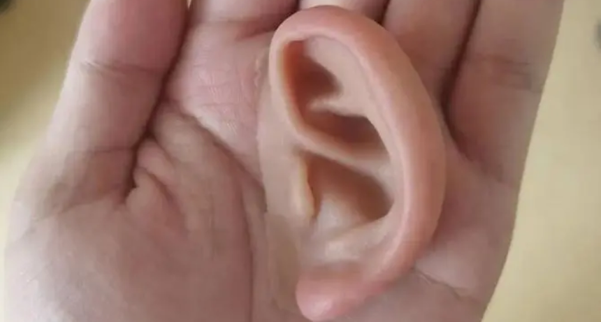 ͸ʦ2.png