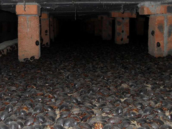 1713581062210698.jpg 1425200133.jpg