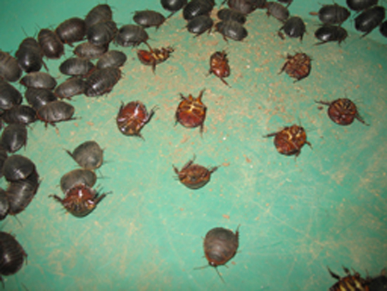 1713581095622172.jpg 1424255605.jpg