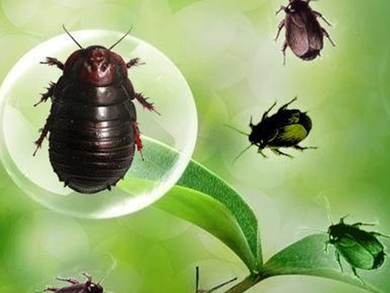 1713581129619426.jpg 142488061.jpg