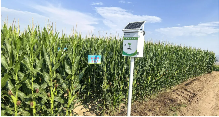 1763691160808931.png 微信图片_20251121101143_375_11.png