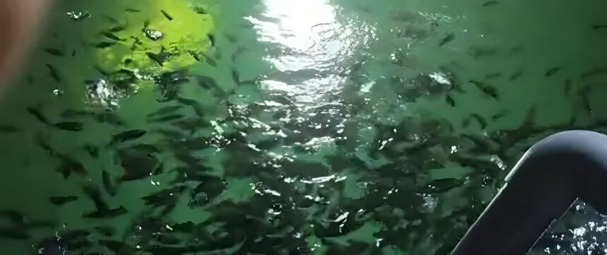 1745483676622304.jpg