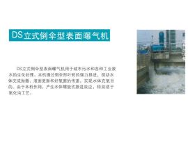 DS立式倒傘型表面曝氣機
