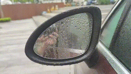 ��ͼ�滻.gif