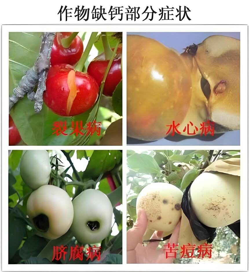 abbf8e05-2eab-4d2b-b39d-8f743f2fc4d9.jpg
