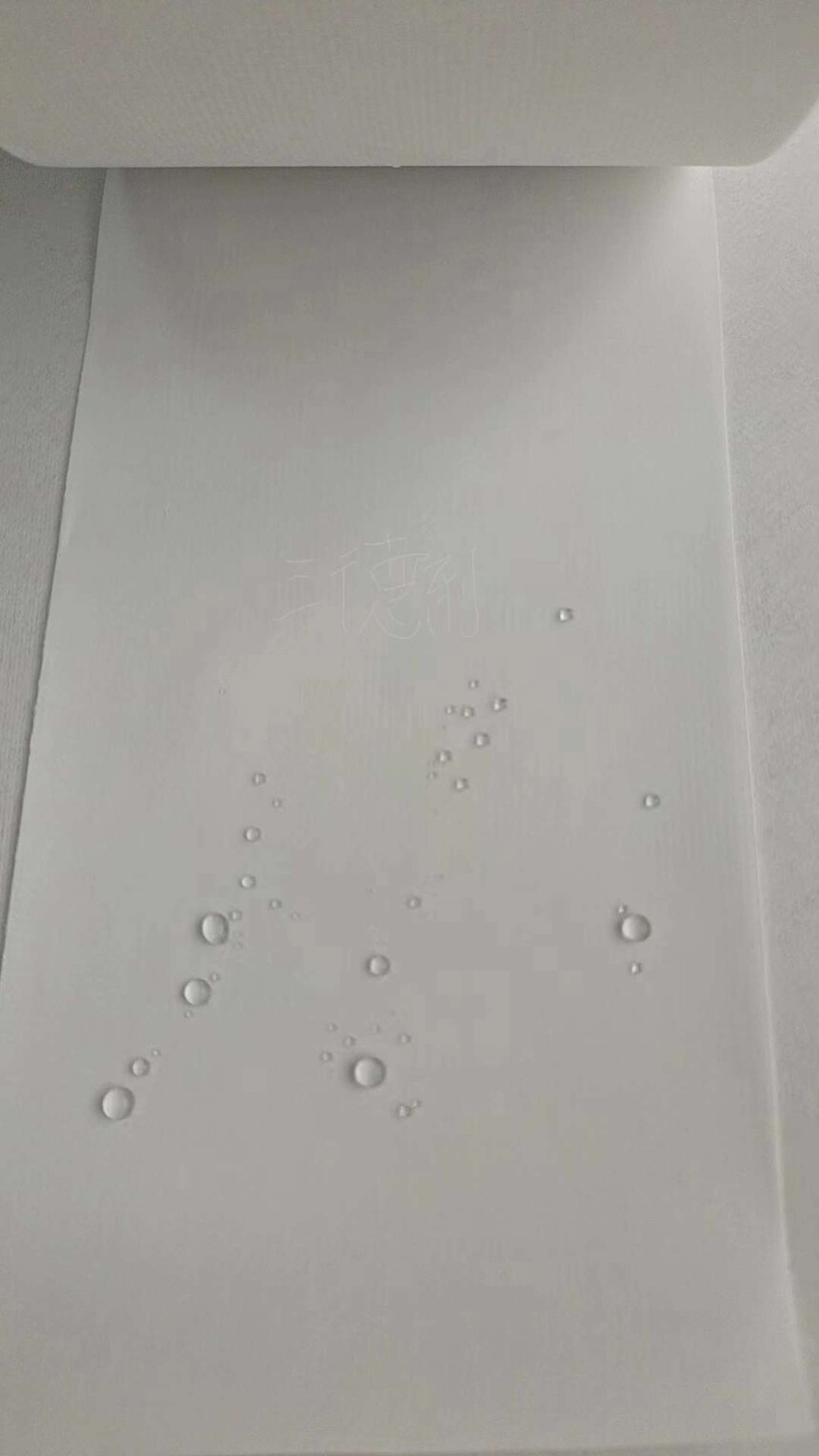 ˮ͸Ĥ.jpg