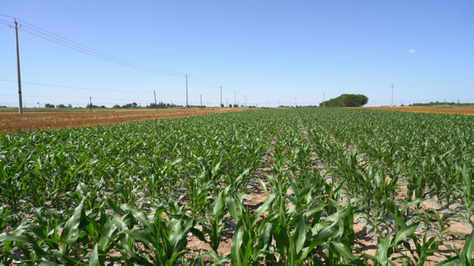 1672039363851338.png image.png
