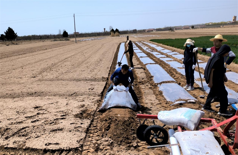 1681177311400978.png 图片3.png