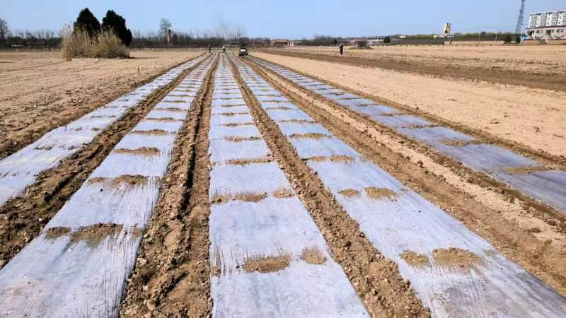 1681177326798505.png 图片5.png