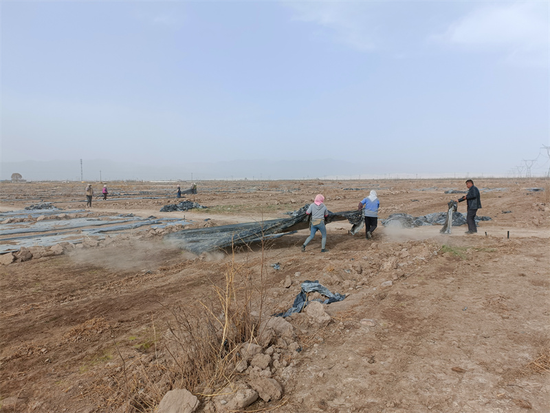 1681293284865425.jpg cab8bbd175238b775051025946efa61b (1).jpg