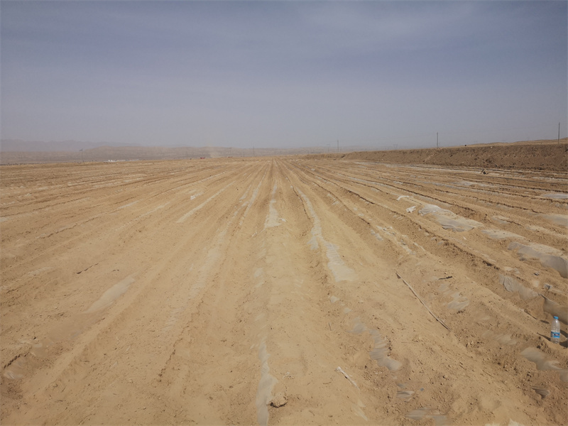 1681798669175724.jpg IMG_20230417_152557.jpg