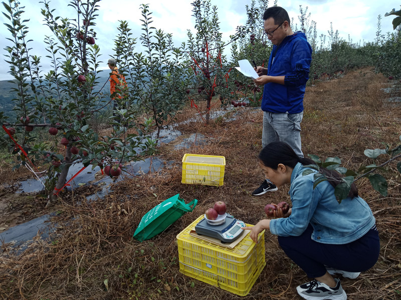 1682160939390124.jpg 1973416951.jpg