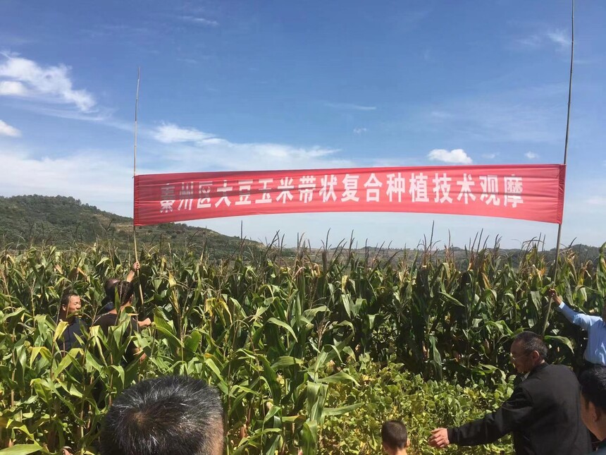 1682164239209139.jpg 微信图片_20220909144227.jpg