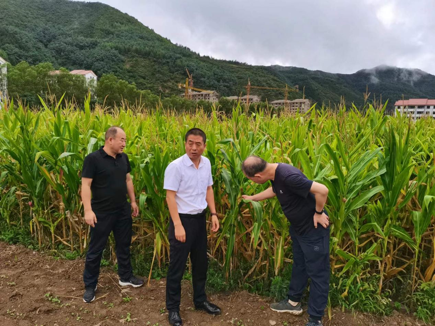 1682164327721738.png 图片12.png