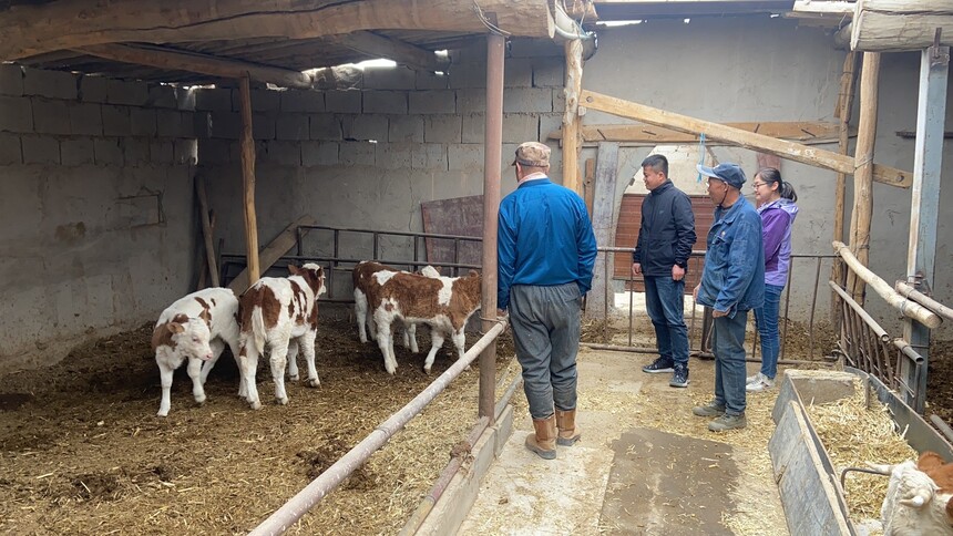 1684824214301586.jpg 镇农业农村综合服务中心定期邀请技术专家为养殖户培训饲养方法和防疫技术.JPG